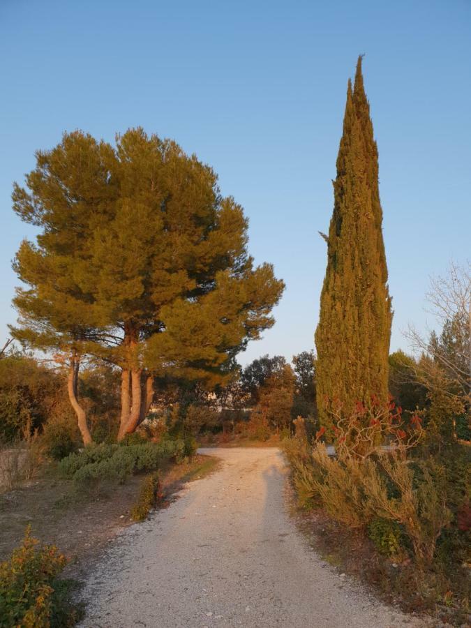 Villa Le Gecko En Provence La Roque-sur-Pernes Exterior foto